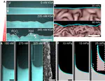 Dynamics of Active Liquid Interfaces