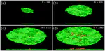 Mono- To Multilayer Transition in Growing Bacterial Colonies